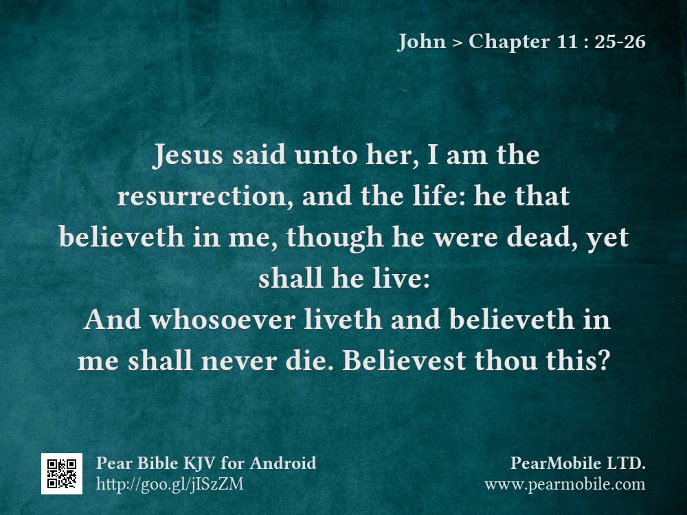 John, Chapter 11:25-26